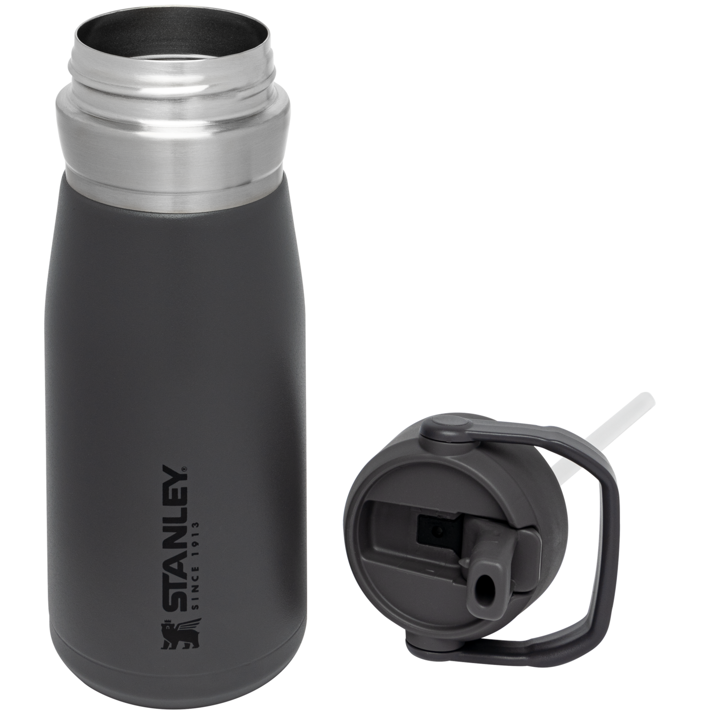 Go Flip Straw Water Bottle